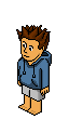 Flippixs9501
