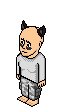 PonysZijnCool